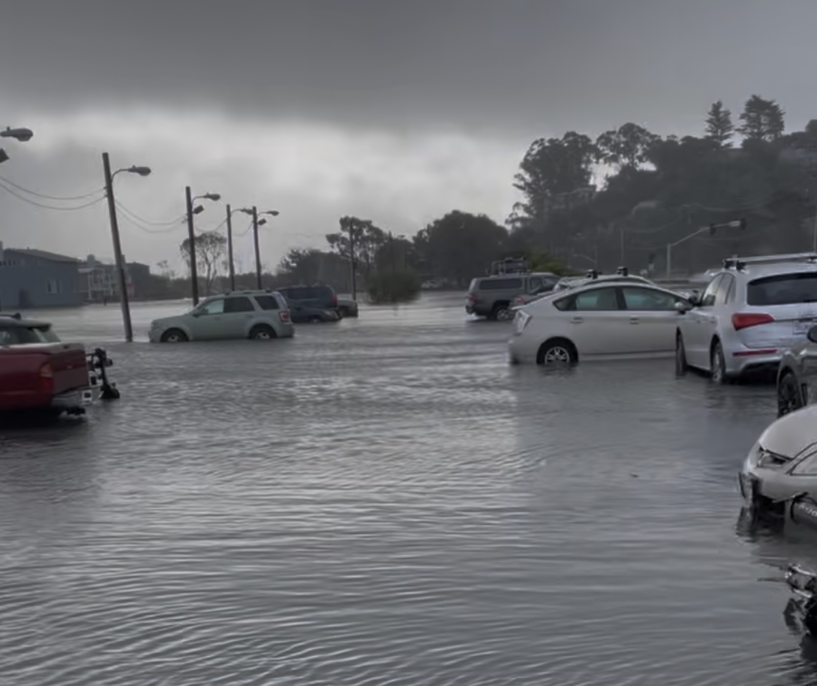 Cars sitting in flooded water during a king tide near the Sausalito docks